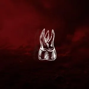 Photo 1 de l'annonce Recherche d’un(e) bassiste pour projet Screamo