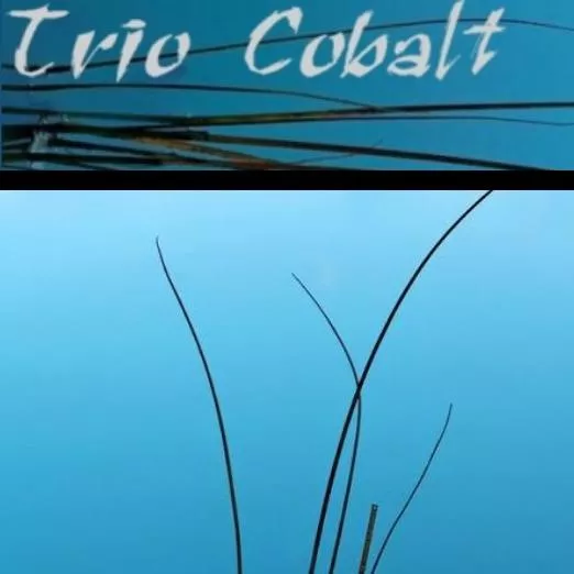 Photo de profil de Trio Cobalt