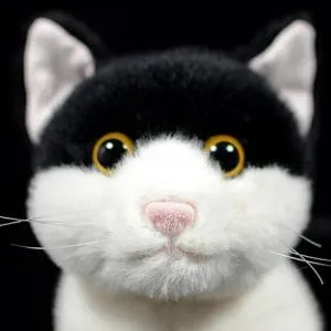 Photo de profil de man
