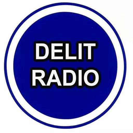 Photo de profil de Delit Radio