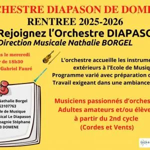 Photo 1 de l'annonce L'Orchestre Diapason recherche musiciens amateurs !