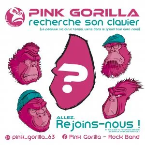 Photo 1 de Pink Gorilla 